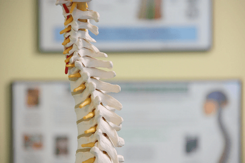 5 Important Posture Reminders for Seniors