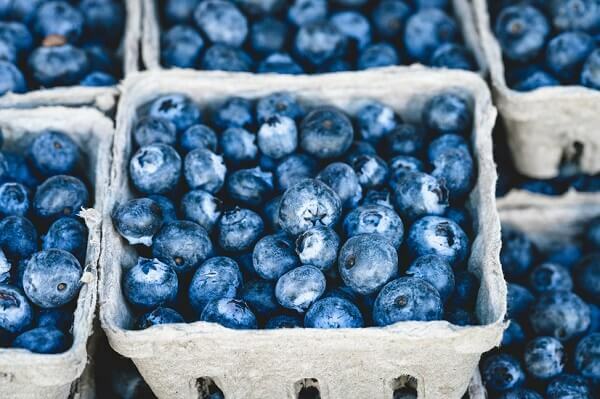 Top Five Superfoods for Seniors that can be Gamechangers