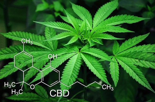 Are CBD Topicals Safe?