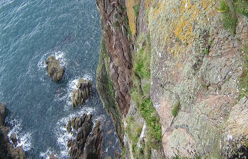 Are You On The Edge?
