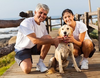 Top 10 Dog Breeds for Senior Citizens