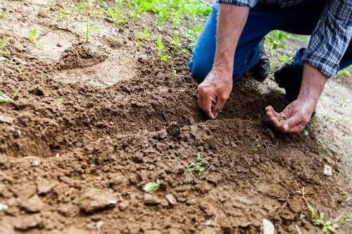 The Do’s And Don’ts Home Maintenance for Senior Citizens