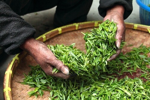 Foods That Can Relieve Arthritis Pain the Natural Way