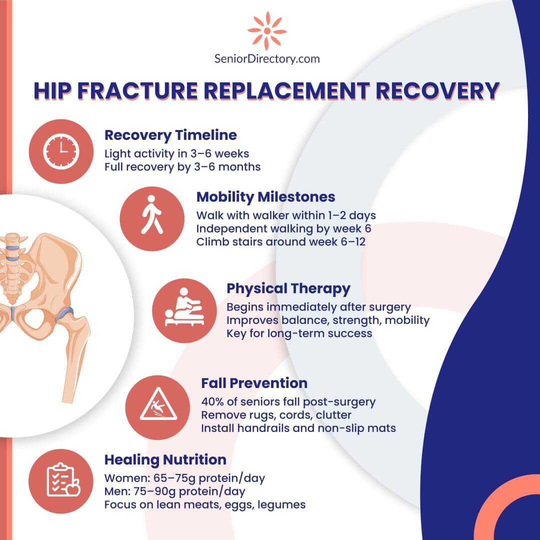 Hip Replacement