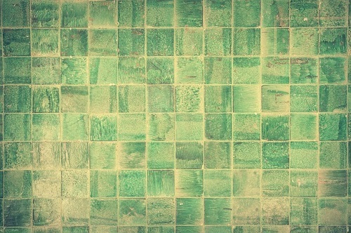 Winter Mold Growth and Why It’s Crucial to Prevent It