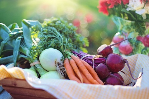 10 Tips for Senior Citizens to Improve Their Diet