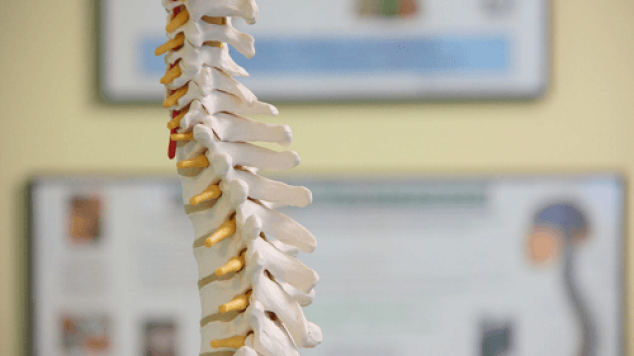 5 Important Posture Reminders for Seniors