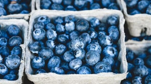 Top Five Superfoods for Seniors that can be Gamechangers