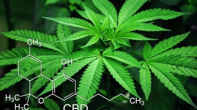 Are CBD Topicals Safe?