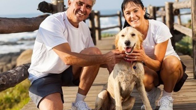 Top 10 Dog Breeds for Senior Citizens