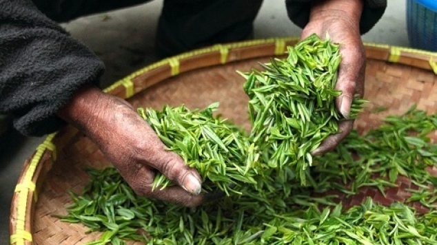 Foods That Can Relieve Arthritis Pain the Natural Way
