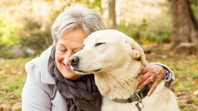 Can Dogs Help Seniors Suffering From Isolation?