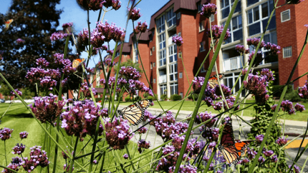 St. Barnabas Communities &#45; The Village