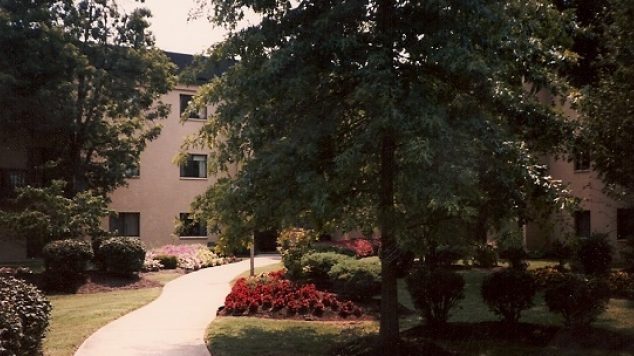 Sycamores Terrace