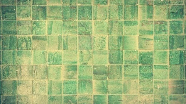Winter Mold Growth and Why It’s Crucial to Prevent It
