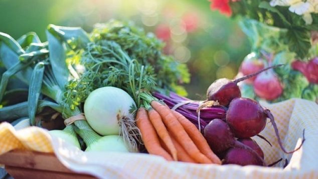 10 Tips for Senior Citizens to Improve Their Diet