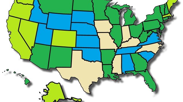 Legalized Marijuana for Seniors (By State)